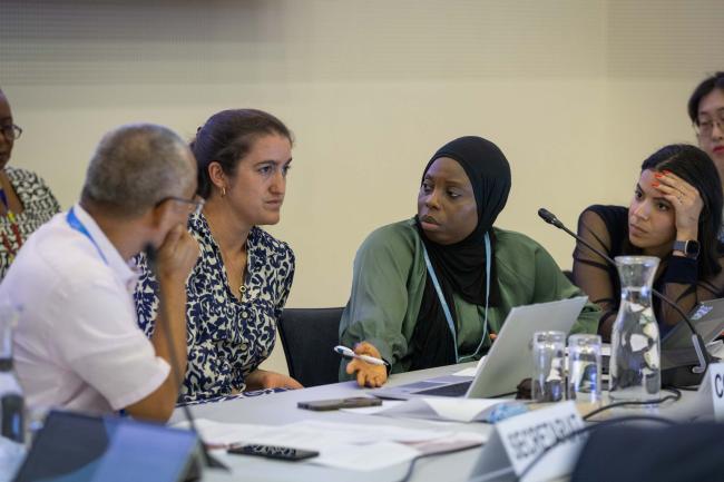 Co-Chairs Claire Holzer Fleming, UK, and Isatou Camara, The Gambia, speak during the informal consultations on the Adaptation Fund