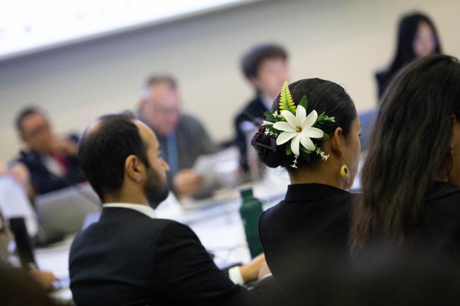 Delegates in session