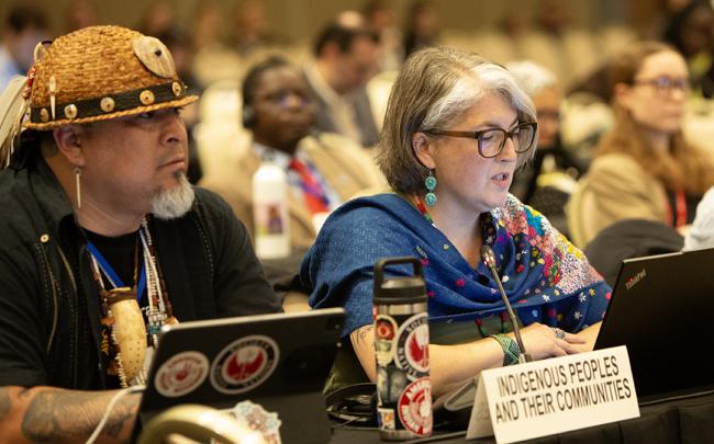 Indigenous Peoples - OEWG32 - 19 Jun2025