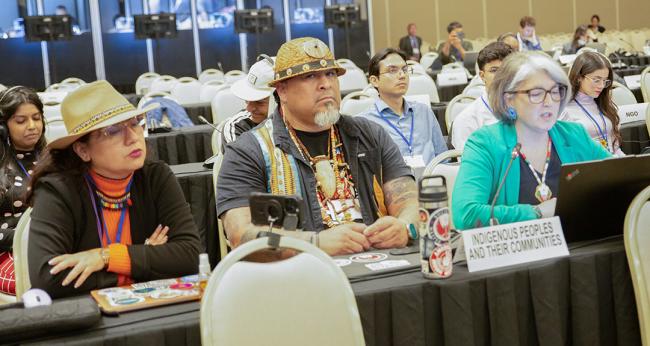 Indigenous Peoples - OEWG32 - 20 Jun2025