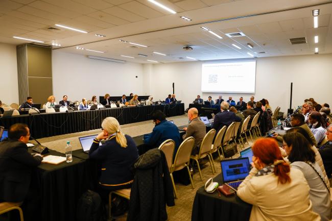 Knowledge Sharing on Priority Chemicals of Concern_OEWG1_26Jun25_photo.jpg