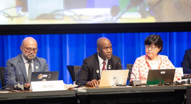 LDCFSCCF Council Meeting - GEF69 - 4Jun2025
