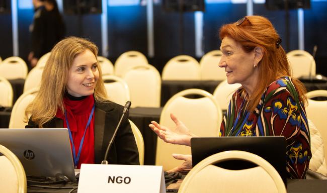 Lia Maria Paola, and Lilian Corra, Global Alliance on Health and Pollution - OEWG32 - 18Jun2025