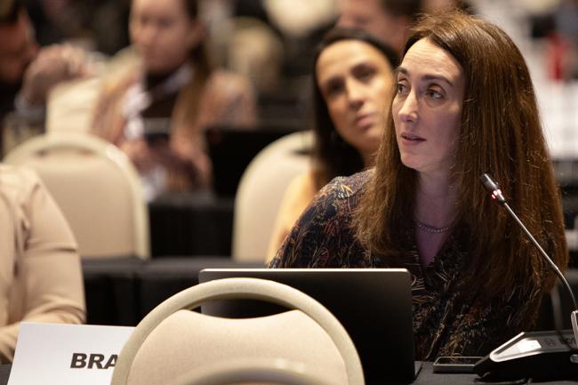 Luciana Melchert, Brazil - OEWG32 - 16Jun2025