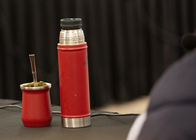 Mate - OEWG32 - 19 Jun2025