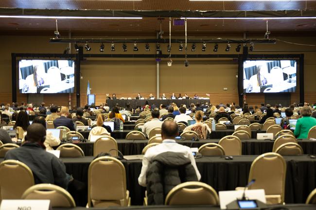 Night Plenary - OEWG32 - 18Jun2025