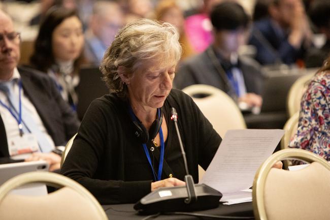 OEWG Chair Gudi Alkemade - OEWG32 - 20 Jun2025