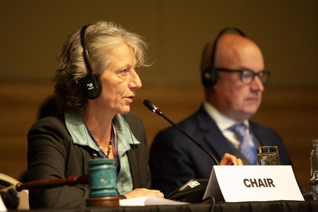 OEWG Chair Gudi Alkemade - OEWG32 - 18Jun2025