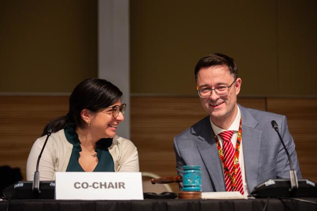 OEWG Co-Chairs María Vanessa Aliaga Araujo (Peru) and Přemysl Štěpánek (Czechia)_OEWG1_26Jun25_photo.jpg