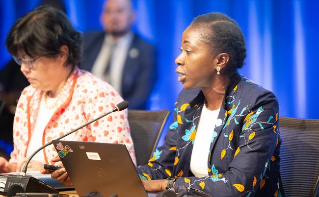 Olusola Ikuforiji, GEF Secretariat - GEF69 - 4Jun2025