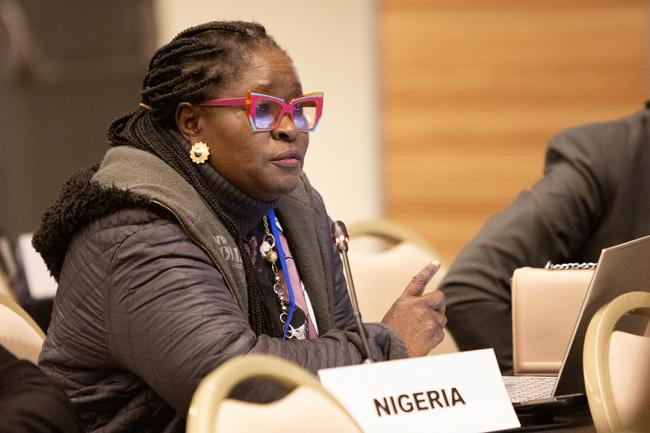 Omotunde Adeola, Nigeria - OEWG32 - 16Jun2025