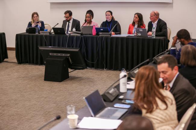 Panelists, Green and and Sustainable Chemistry_OEWG1_26Jun25_photo.jpg
