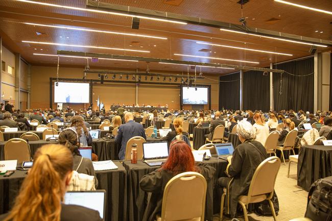 Plenary View 2 - OEWG32 - 15Jun2025