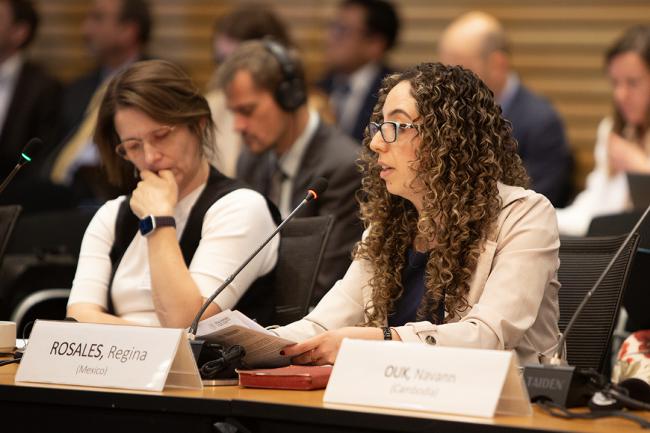 Rosales Regina, Council Member, Mexico - GEF69 - 2Jun2025