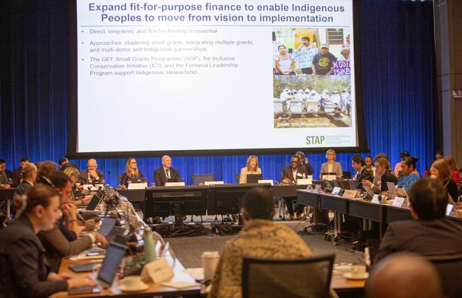 Rosina Bierbaum, STAP - GEF69 - 4Jun2025