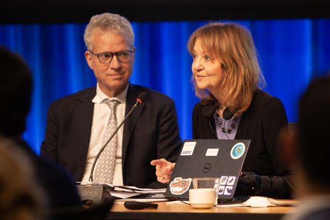 Rosina Bierbaum, STAP - GEF69 - 2Jun2025