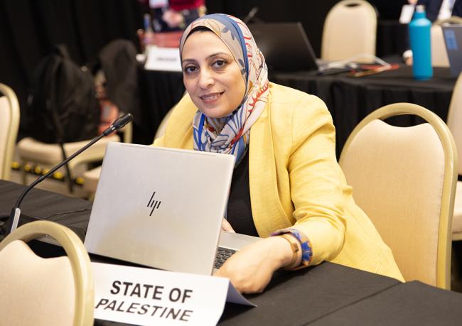State of Palestine - OEWG32 - 19 Jun2025