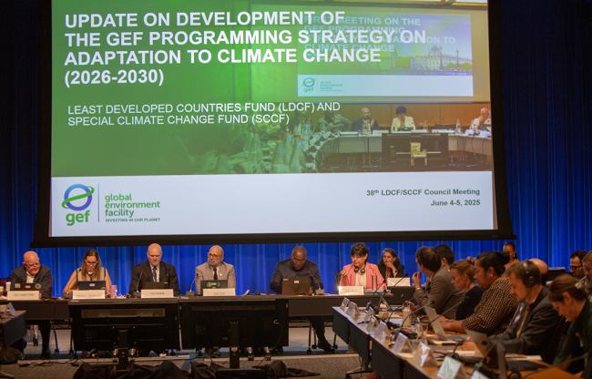 Strategy on Adaptation - GEF69 - 5Jun2025