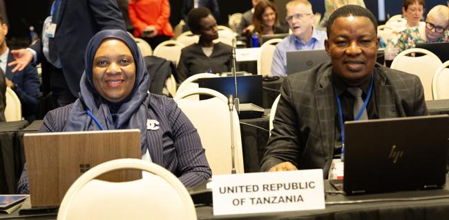 Tanzania - OEWG32 - 19 Jun2025
