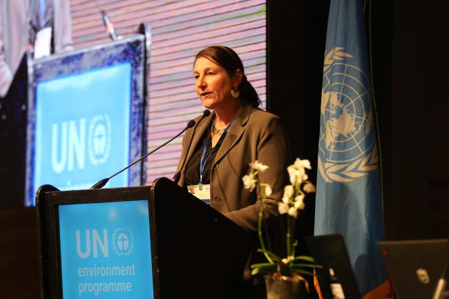 Tessa Goverse, Principle Coordinator, Secretariat_OEWG1_24Jun25_photo.jpg