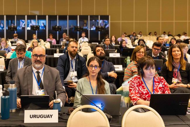 Uruguay deletatgion_OEWG1_24Jun25_photo.jpg