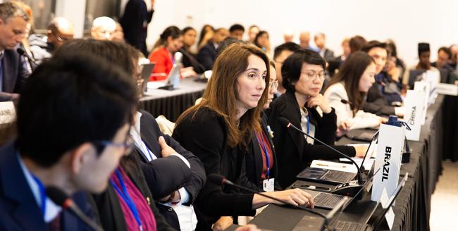 WG Brazil - OEWG32 - 15Jun2025