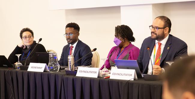 WG Chairs - OEWG32 - 15Jun2025