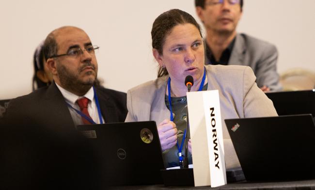 WG Norway - OEWG32 - 15Jun2025
