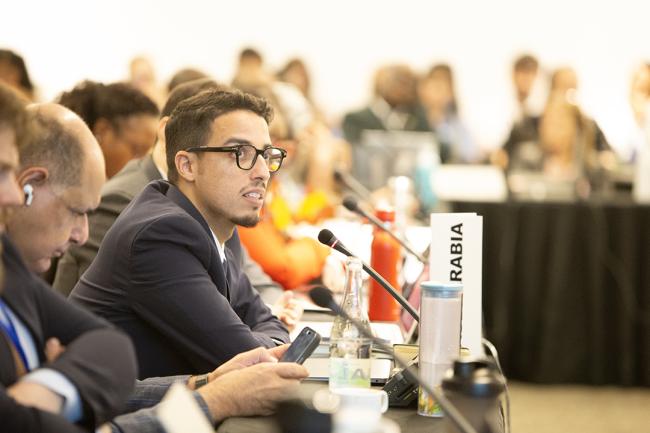 WG Saudi Arabia - OEWG32 - 15Jun2025