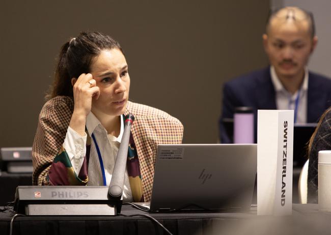 WG Swiss - OEWG32 - 15Jun2025
