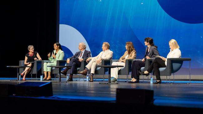 View of the second panel on Financing Transboundary Conservation Programmes 