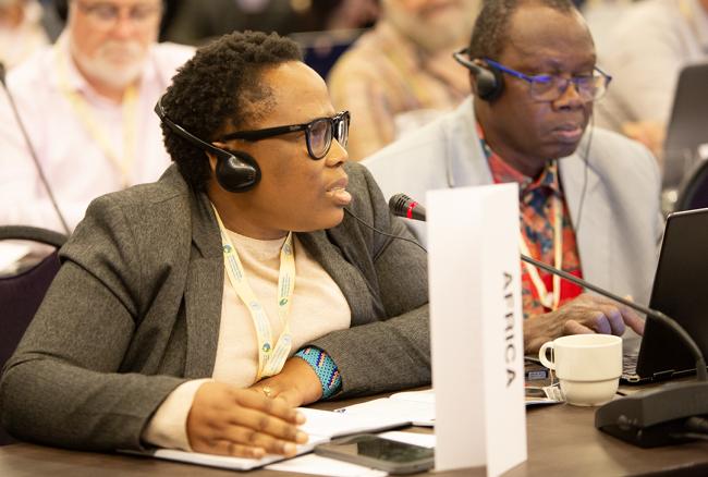 1 Caroline Noluthando, Africa - ITPGRFA_OEWG14 - 8Jul2025