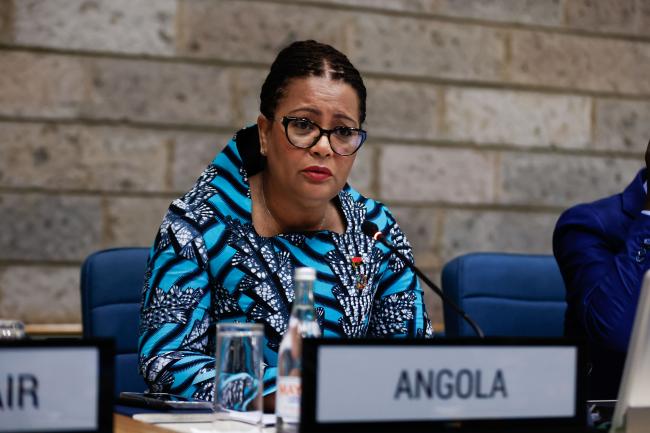 Ana Paula Chantre Luna de Carvalho, Minister of Environment, Angola_AMCEN20_17Jul25_photo.jpg