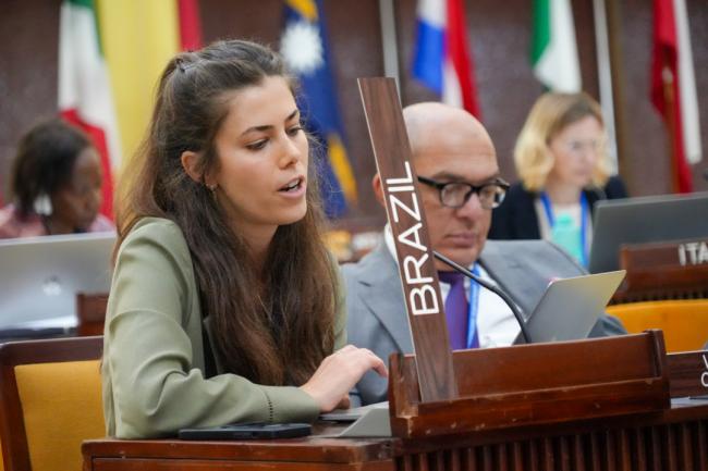Bárbara Macedo Perrenoud, Brazi