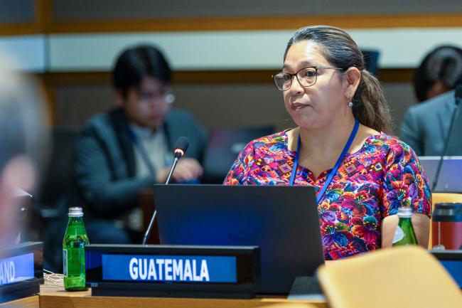Bety Cutzal Sirin, Director of Public Management, Technical Director of the Voluntary National Reports, Guatemala