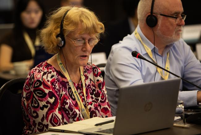 Birte Nass-Komolong, Southwest Pacific - ITPGRFA_OEWG14 - 7Jul2025