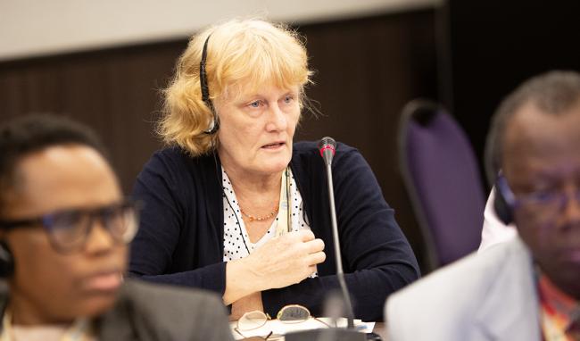 Birte Nass-Komolong, Southwest Pacific - ITPGRFA_OEWG14 - 8Jul2025