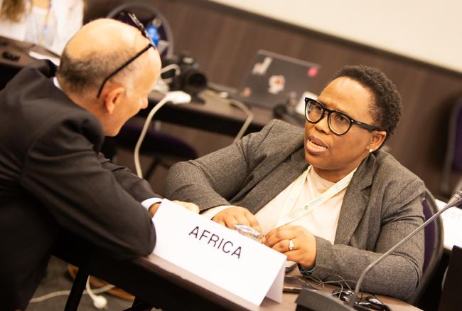 Caroline Noluthando, Africa - ITPGRFA_OEWG14 - 8Jul2025