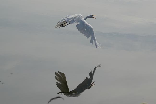 Photo by Pam Chasek 