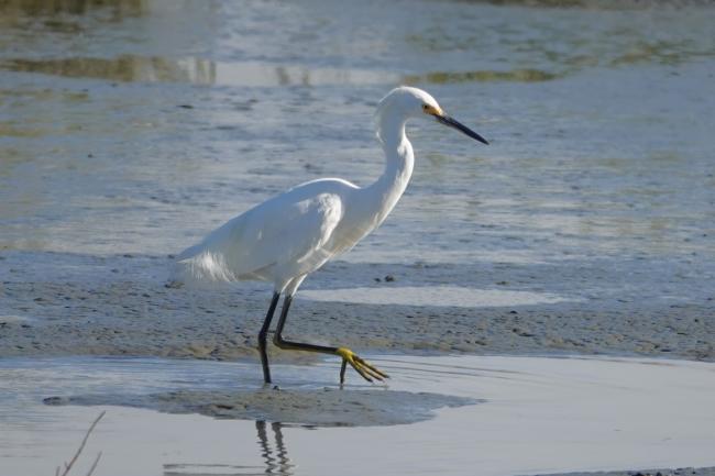 Photo by Pam Chasek