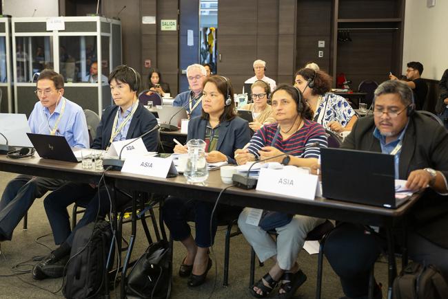 Delegates from Asia - ITPGRFA_OEWG14 - 11Jul2025