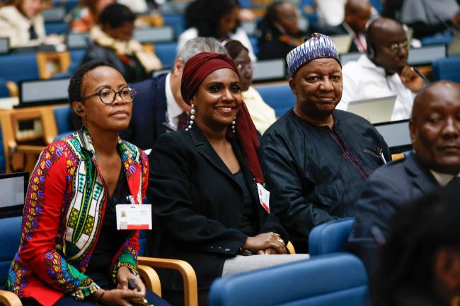 Delegates from Namibia_AMCEN20_18Jul25_photo.jpg
