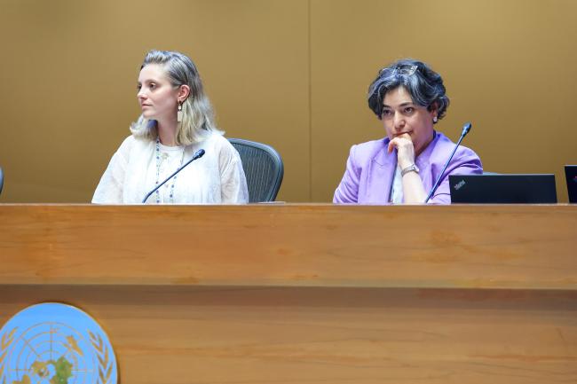 Morgan Simpson, United Kingdom, and Liana Ghahramanyan, Armenia, Co-Chairs of the Contact Group on Feedstocks 