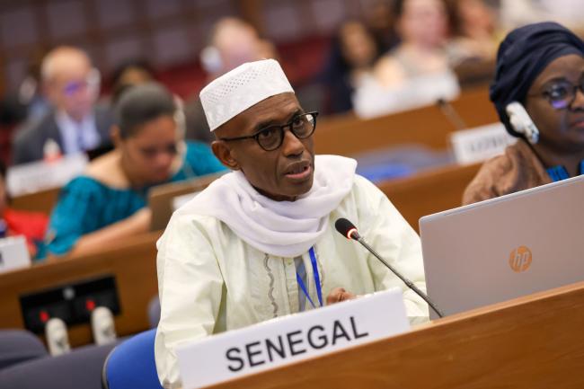 Ibrahima Amel Kane, Senegal 