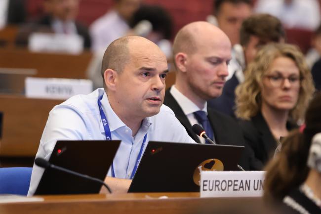 Tom Van Ierland, EU 