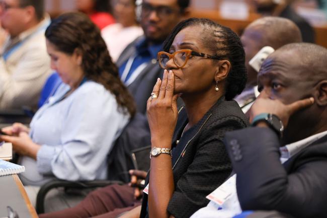 Delegates listen to the discussions. 