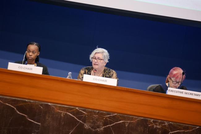 Shontelle Wellington, Barbados, and Annie Gabriel, Australia, OEWG 47 Co-Chairs, and Megumi Seki, Executive Secretary, Ozone Secretariat 
