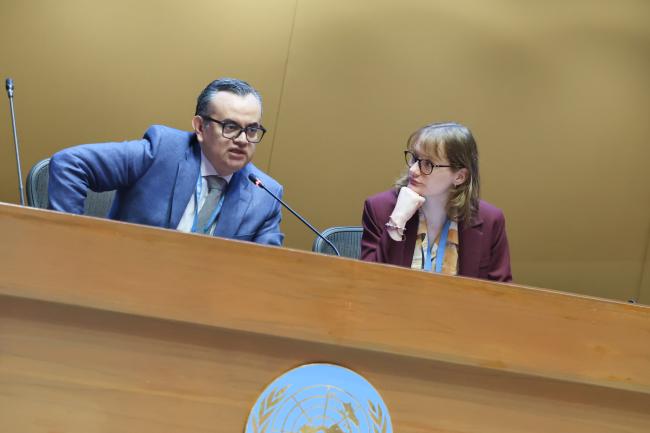Sergio Merino, Mexico, and Morane Godfrin, France, Co-Chairs of the contact group on LRM studies