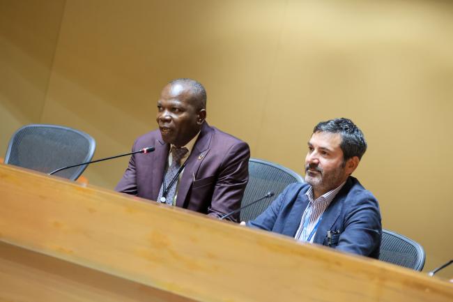 Leslie Smith, Grenada, and Alessandro Giuliano Peru, Italy, Co-Convenors of the informal group on the organization of TEAP and its TOCs 