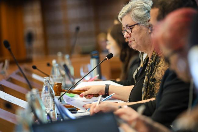 Annie Gabriel, Australia, OEWG 47 Co-Chair, gavels the approval of various paragraphs of the OEWG 47 report. 